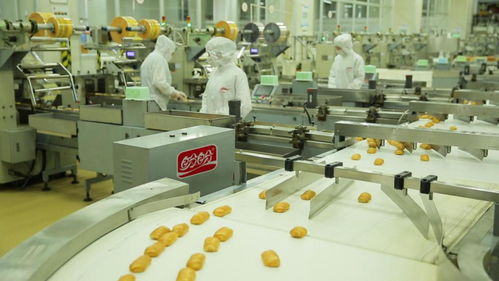 為巴黎奧運(yùn)會(huì)喝彩——盼盼之家巴黎體驗(yàn)店開(kāi)幕與麥秸畫藝術(shù)盛宴